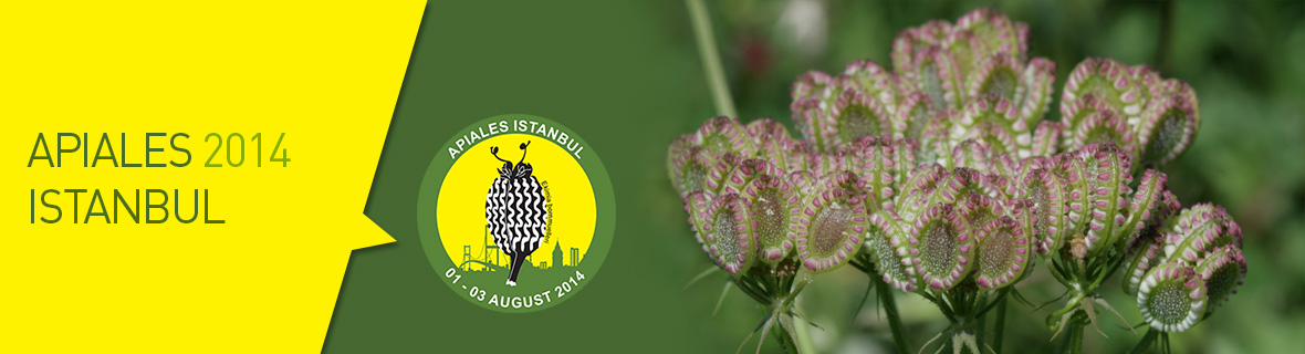 APIALES 2014 İSTANBUL